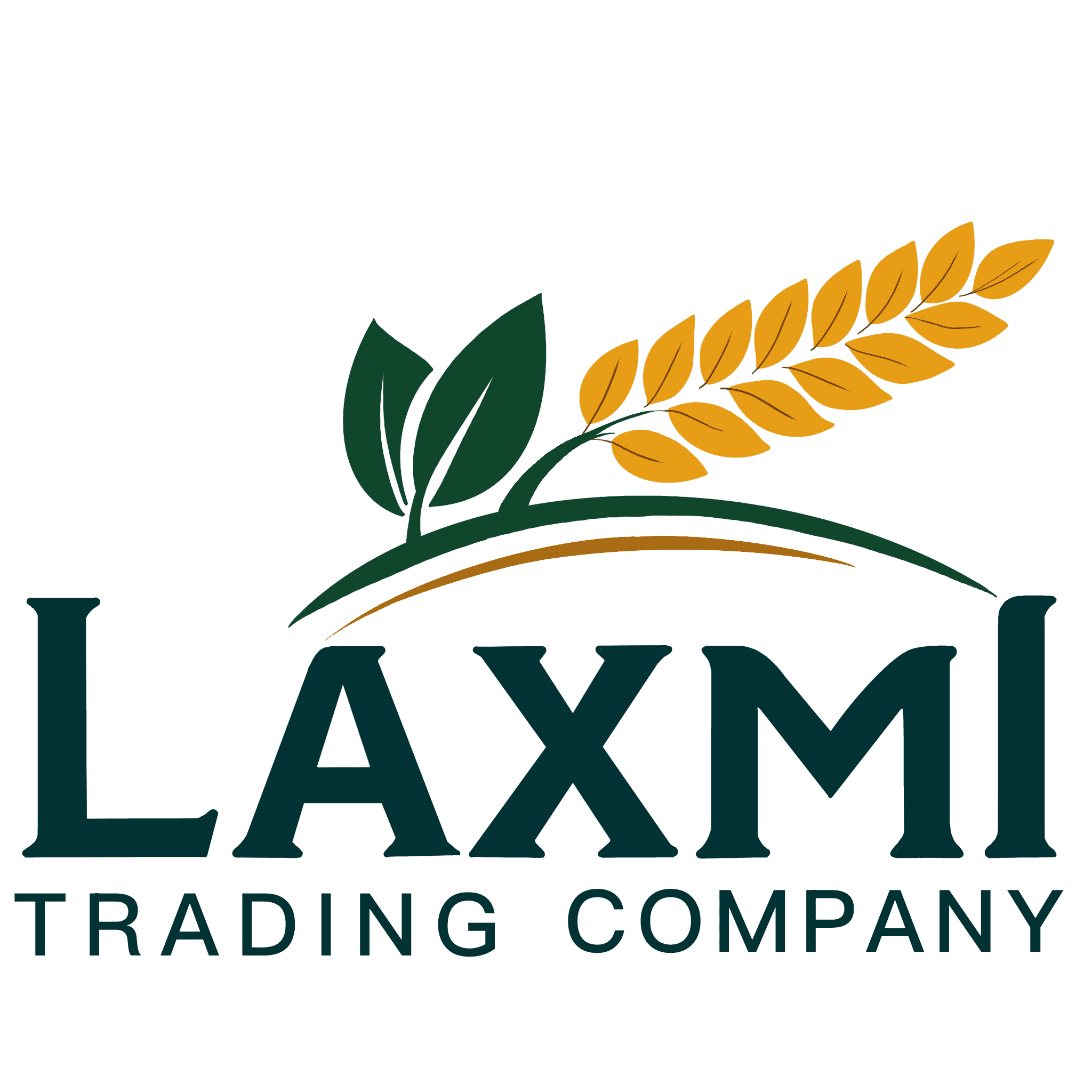 Laxmi Trading Company – coriander seed supplier India