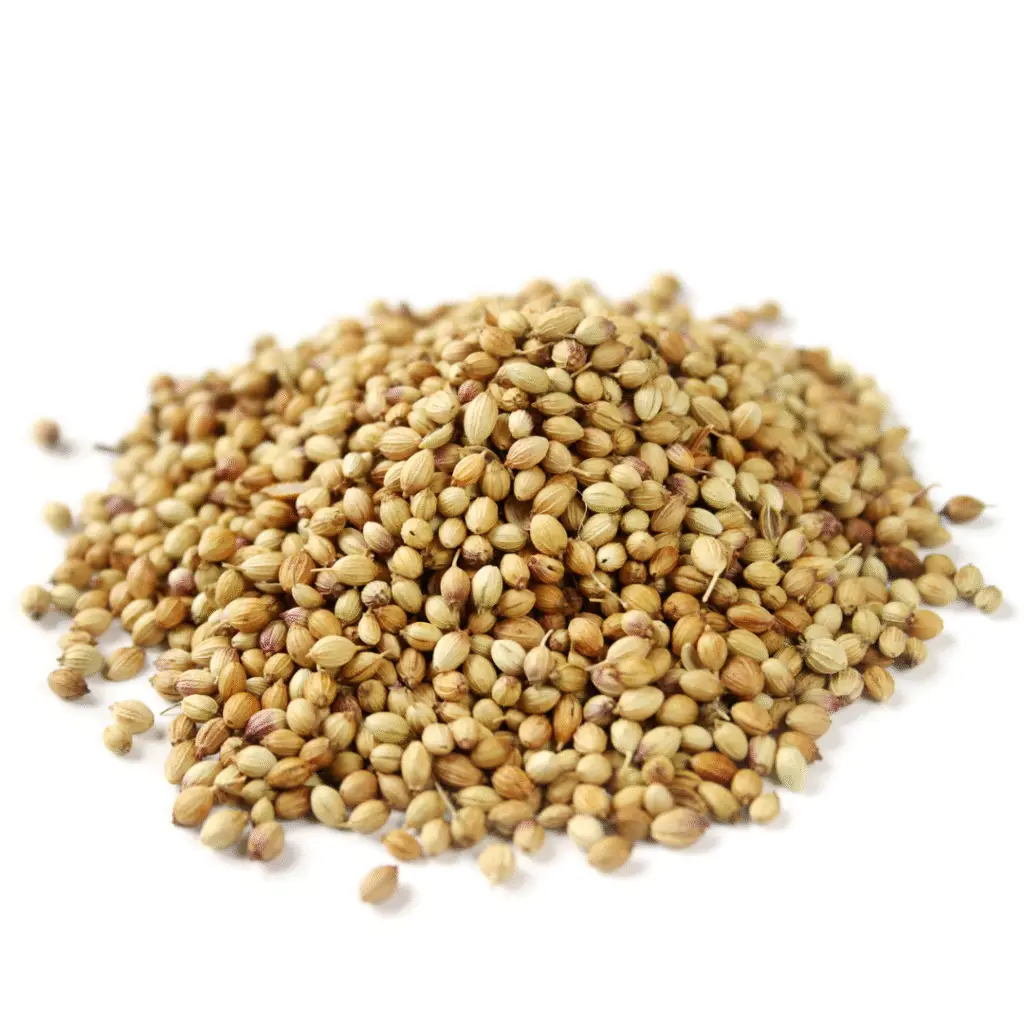 Bulk coriander seeds packed in PP bags for export – India