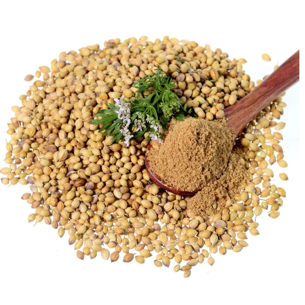 Eagle Coriander Seeds Exporter – Laxmi Trading Company India