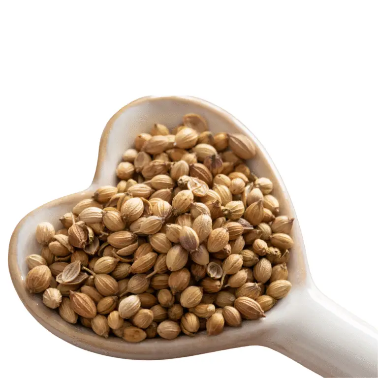 laxmi trading company coriander seeds