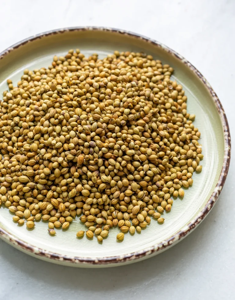 How to Store Coriander Seeds for Maximum Freshness – Laxmi Trading Company