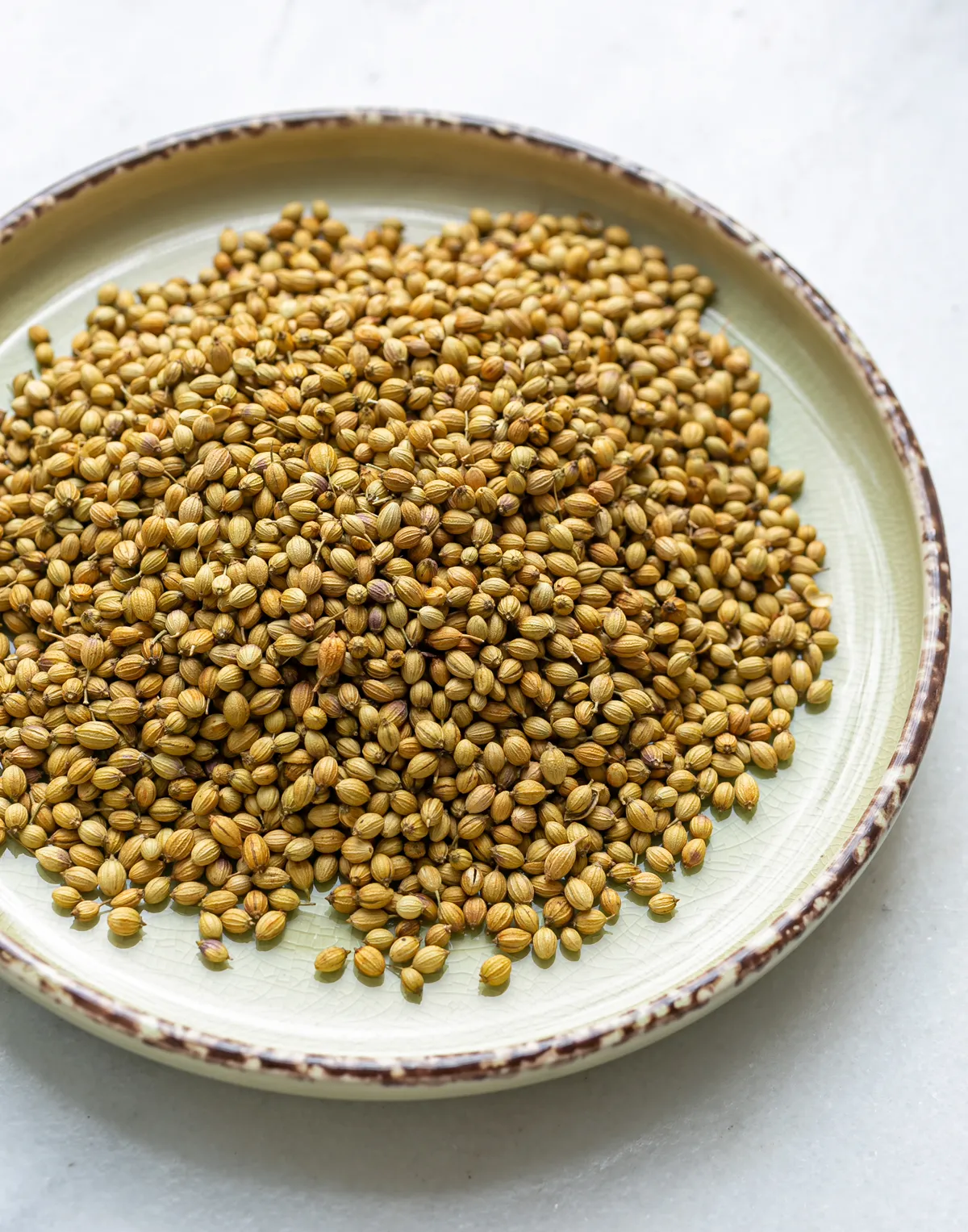 How to Store Coriander Seeds for Maximum Freshness – Laxmi Trading Company
