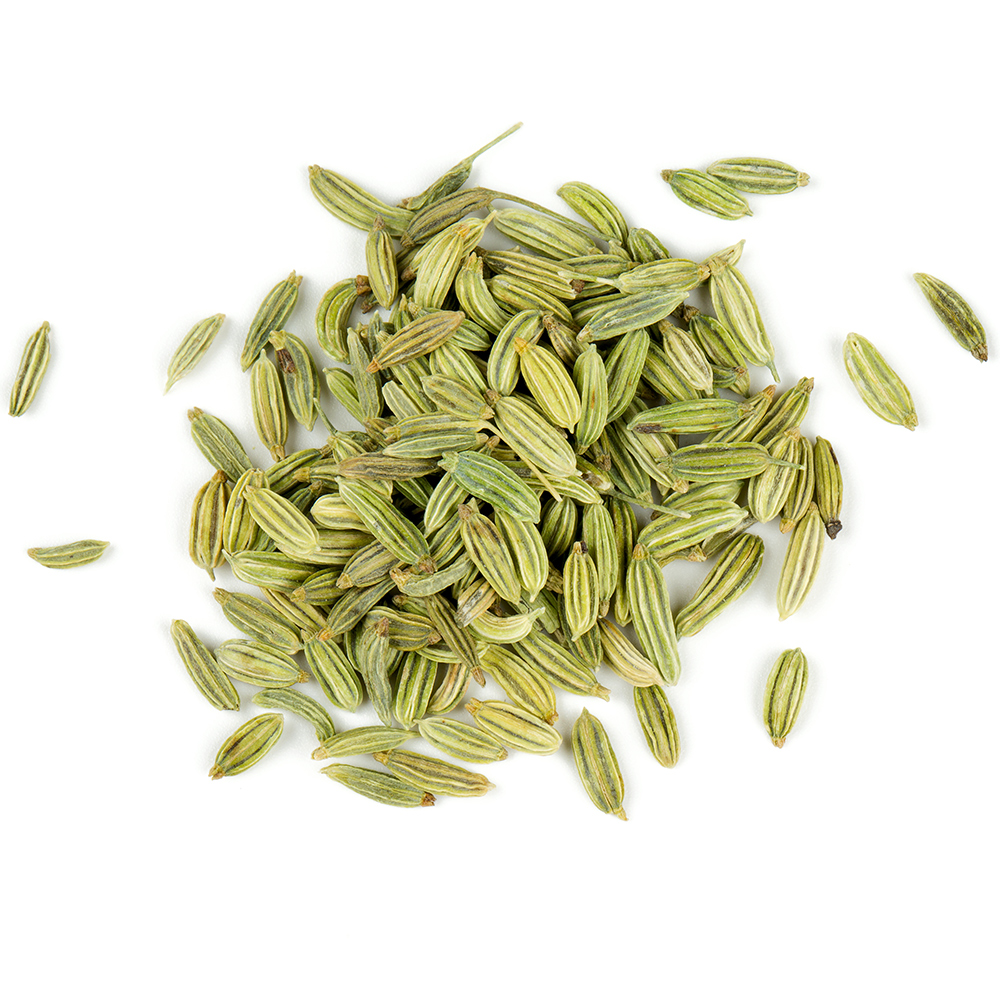 Fennel Seeds Exporter from India – Laxmi Trading Company
