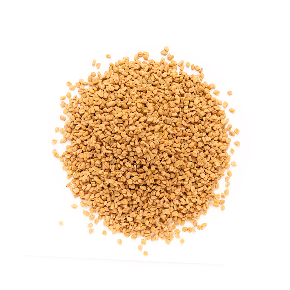 Fenugreek Seeds Exporter from India – Laxmi Trading Company