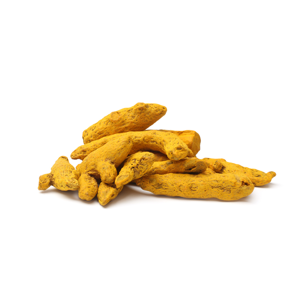 Turmeric Exporter from India – Laxmi Trading Company